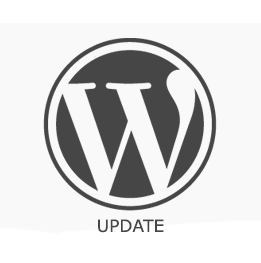 Update WordPress